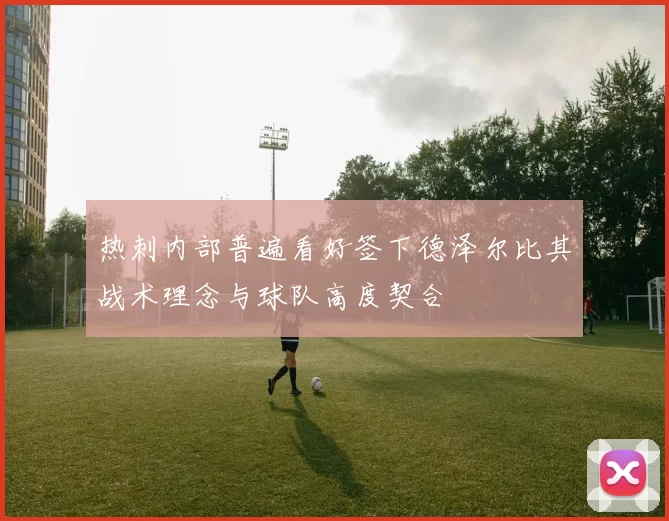 热刺内部普遍看好签下德泽尔比其战术理念与球队高度契合