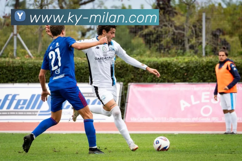 米兰体育平台生态图