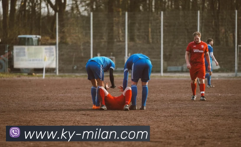 互动解说服务